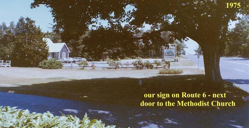 big old oak tree and sign