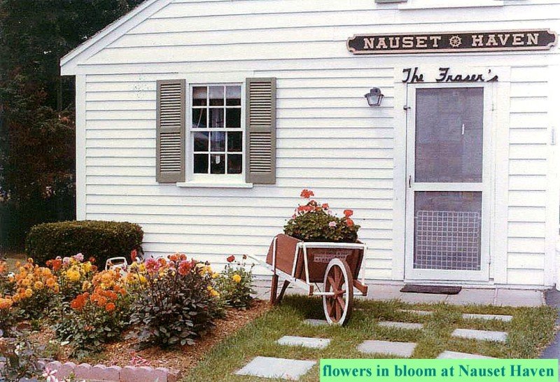 Wheelbarrow with flowers in front of barn